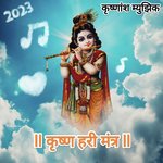 Krishna Hari Mantra - Sandy Song Download